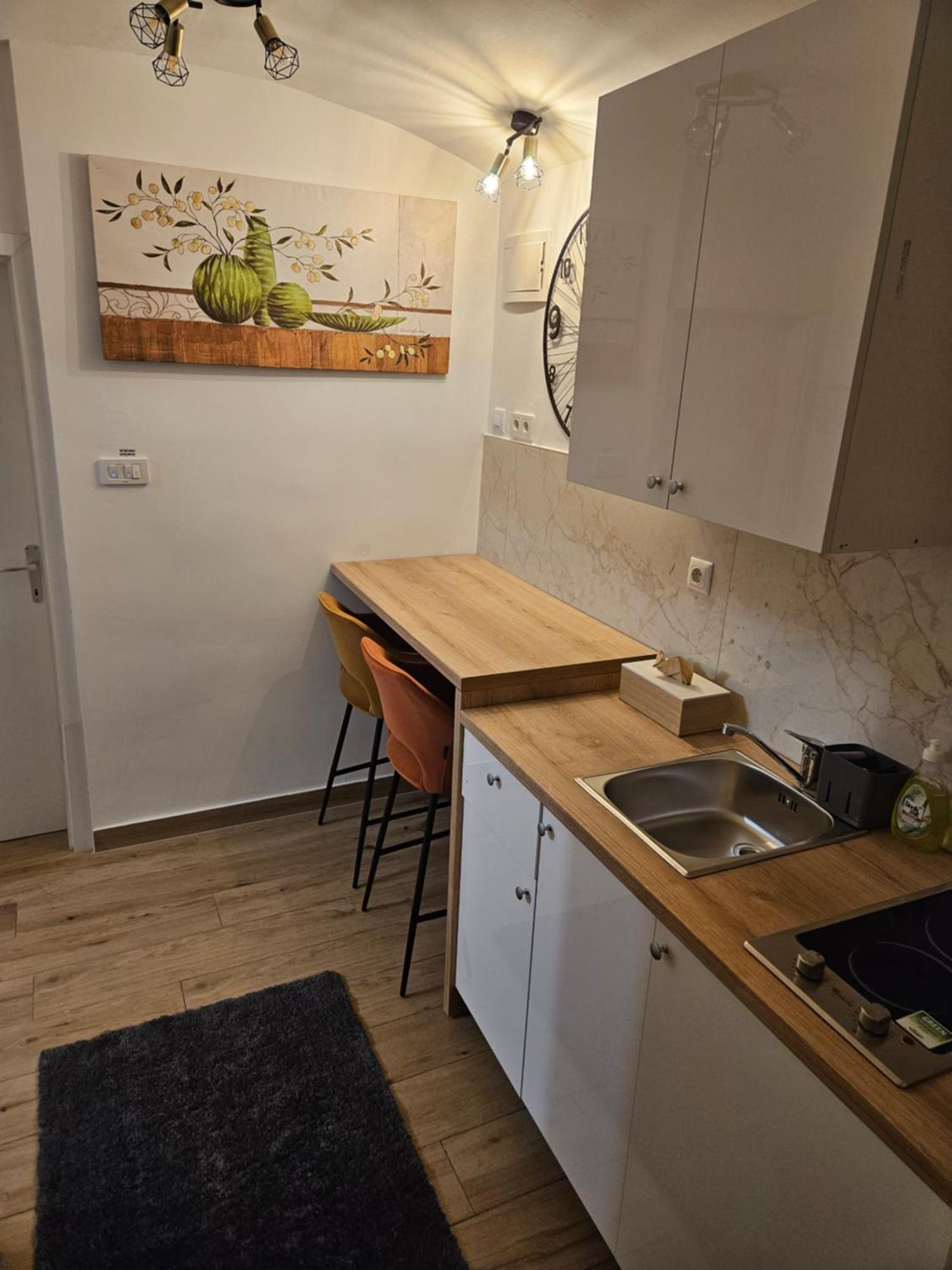 Apartment Maja - Strict Center Of Zagreb Extérieur photo