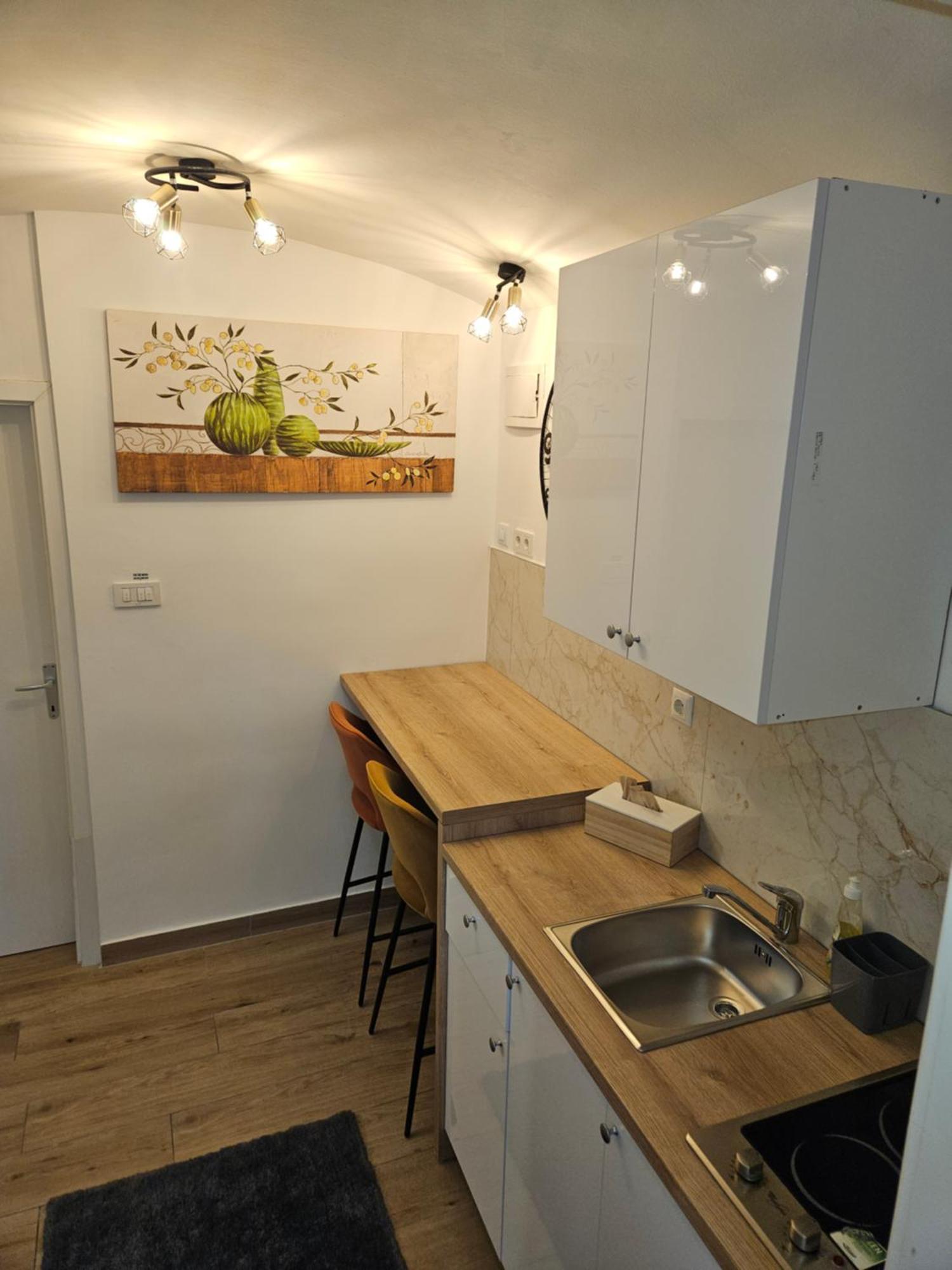 Apartment Maja - Strict Center Of Zagreb Extérieur photo